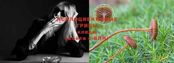 соль курить ск Алексеевка