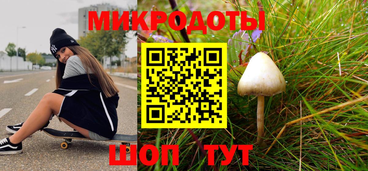 Галлюциногенные грибы Psilocybe Уфа